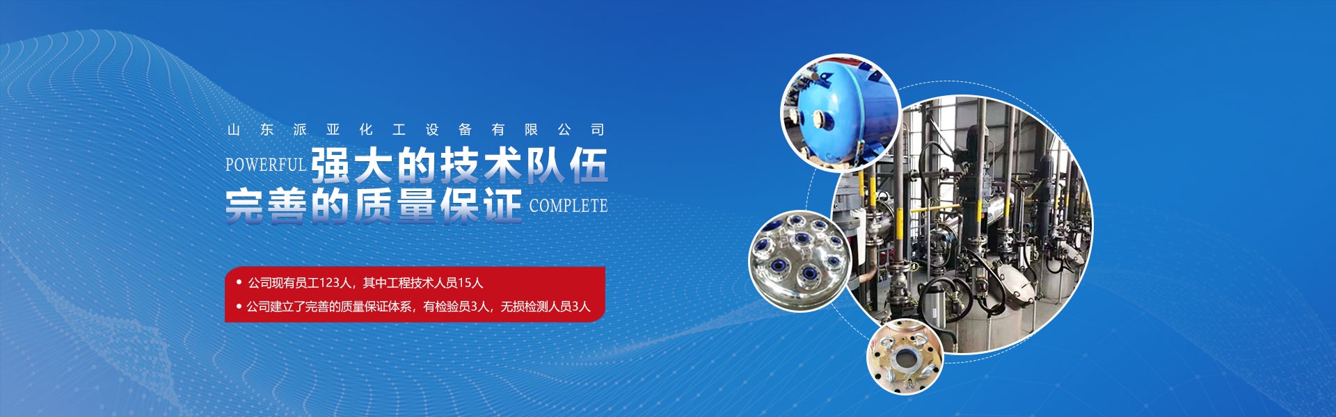 山東派亞化工設(shè)備有限公司}
